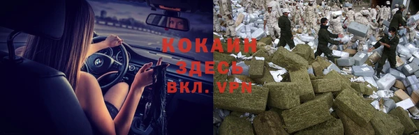 гашик Лиски