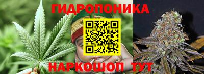 гашишное масло Гай