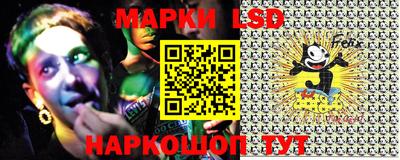 mdma Гатчина