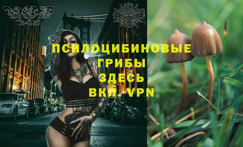 маркетплейс клад  Когалым  Псилоцибиновые грибы Magic Shrooms 