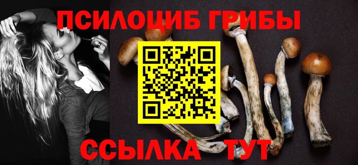 Когалым  Галлюциногенные грибы Psilocybe  Вход с VPN 