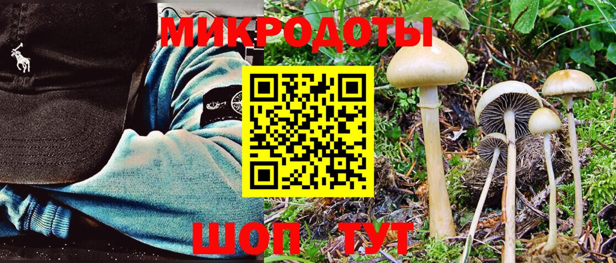 Псилоцибиновые грибы мицелий Когалым