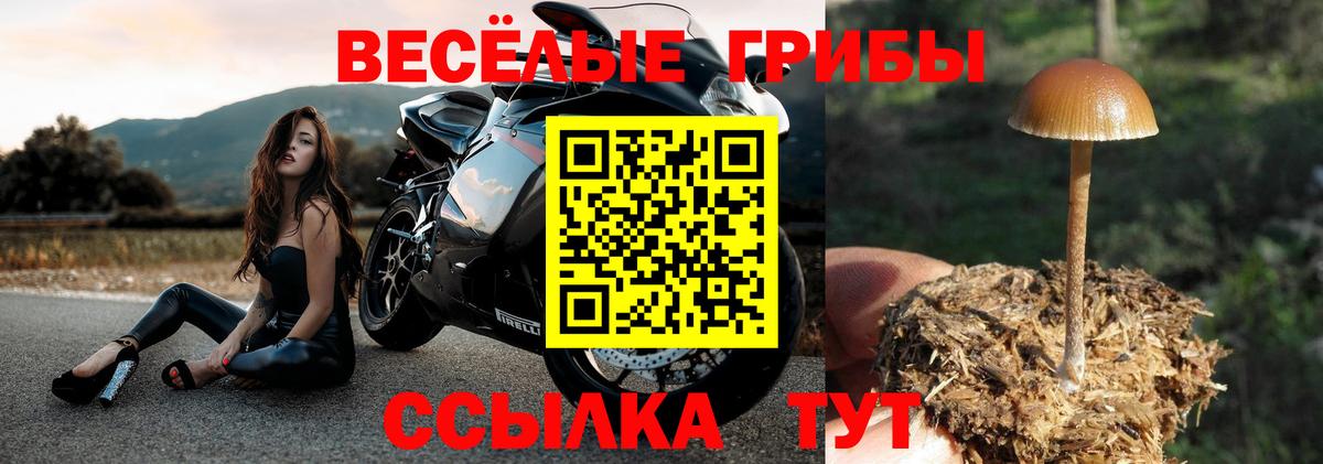 Псилоцибиновые грибы мухоморы Когалым